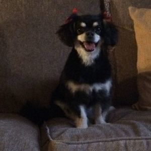 Meet your Posher, Jenna